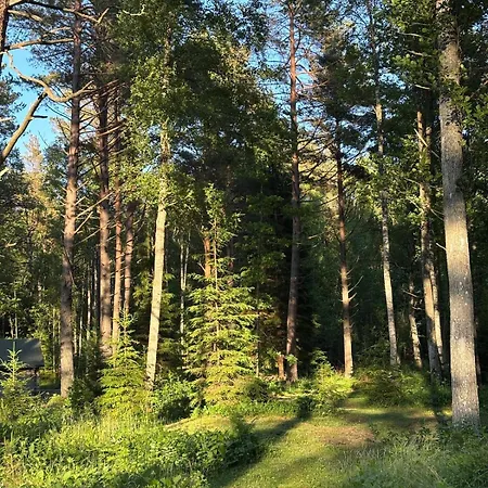 Dom wakacyjny Viinapeedu Farm Home, Korgessaare, Hiiumaa Joeranna